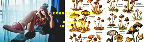 гашишное масло Балабаново