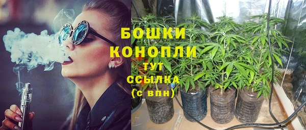 сатива Баксан
