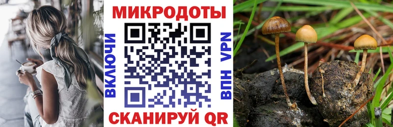 Галлюциногенные грибы Psilocybe  наркошоп  Отрадная 